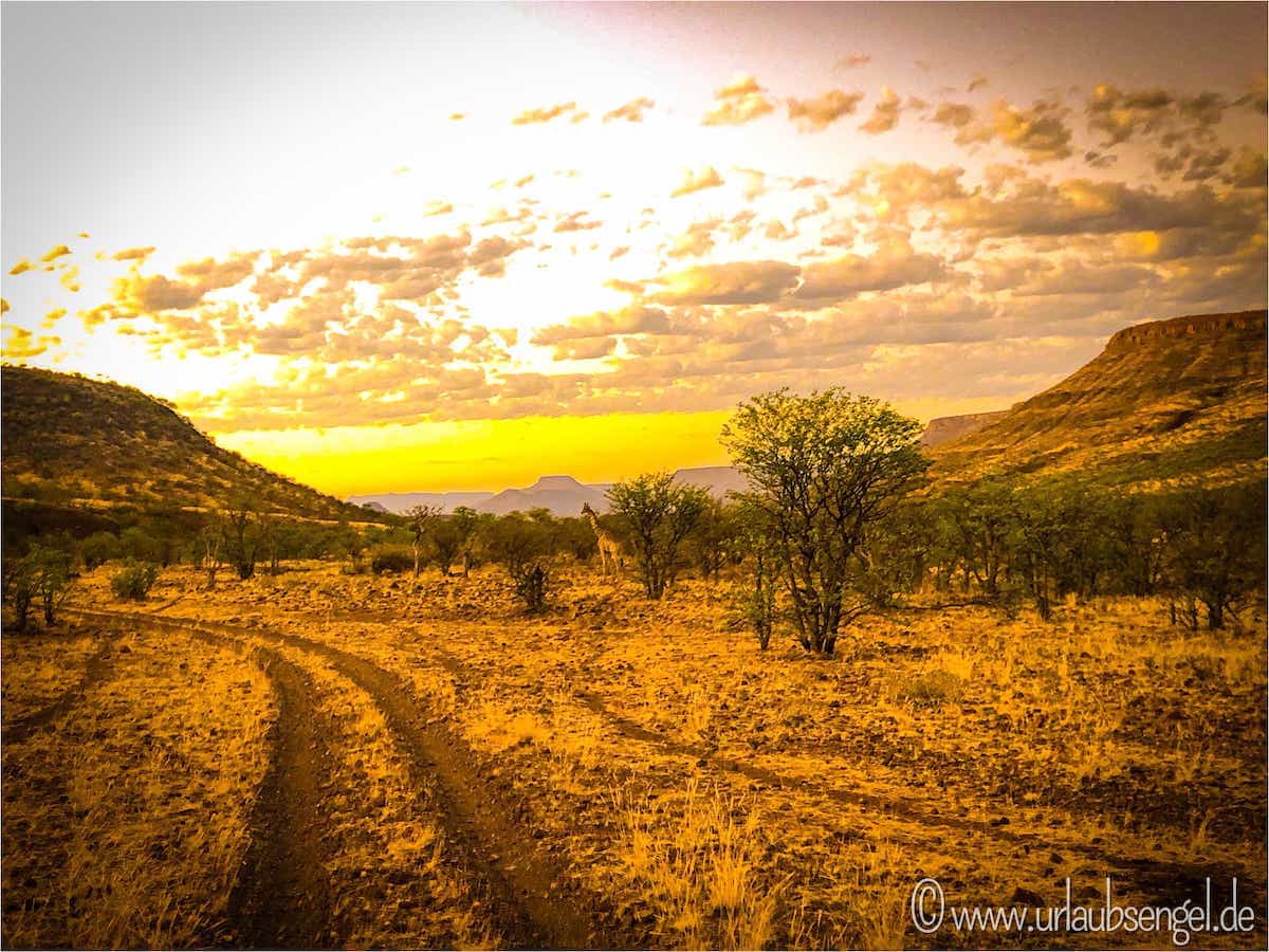 Sonnenaufgang im Clip River Valley