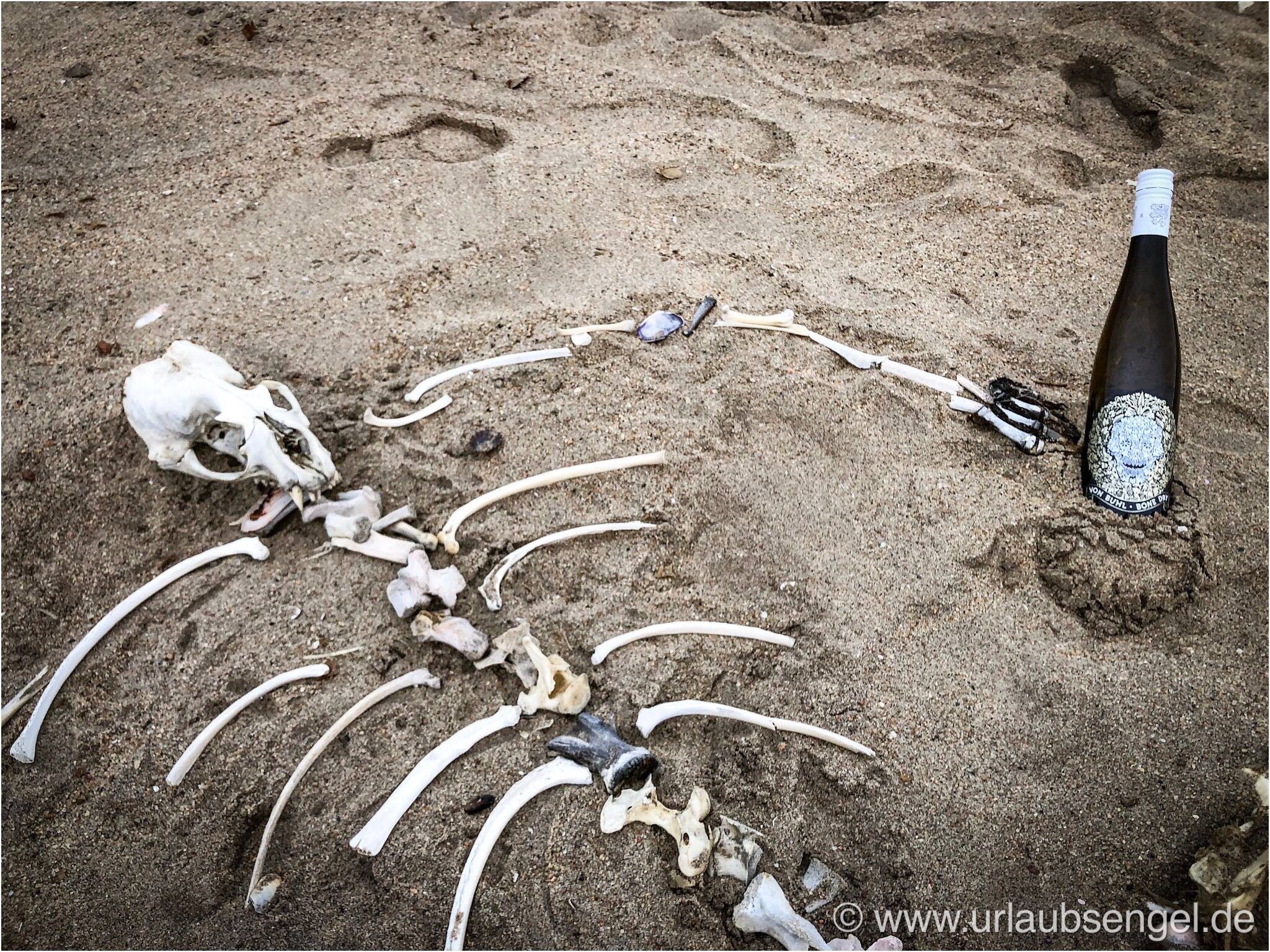 Bone dry, Reichsrat von Buhl, Skeletoncoast Namibia