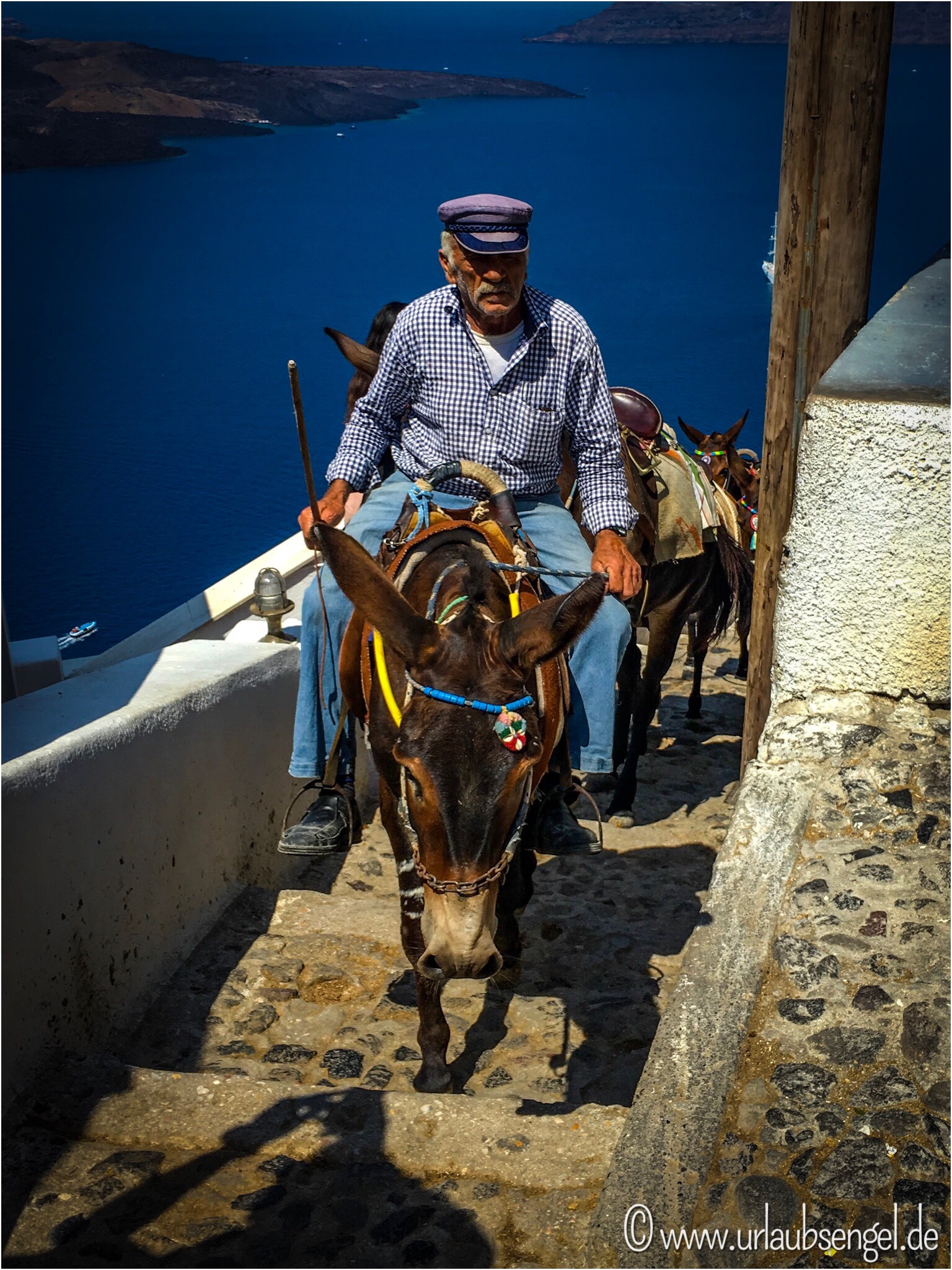 Esel auf Santorini