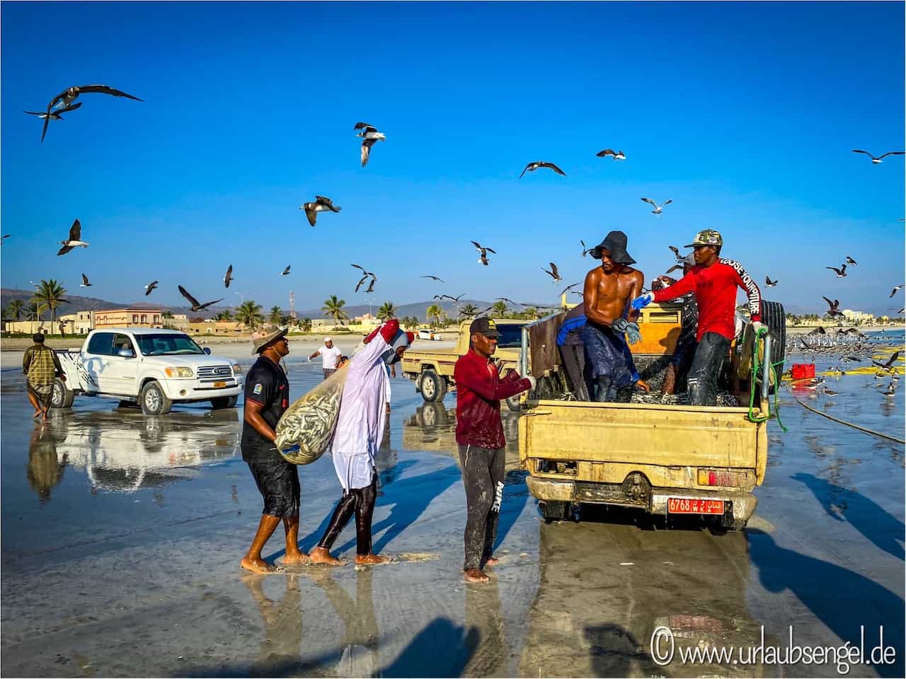 Sardinenfischer am Strand in Taqa / Salalah