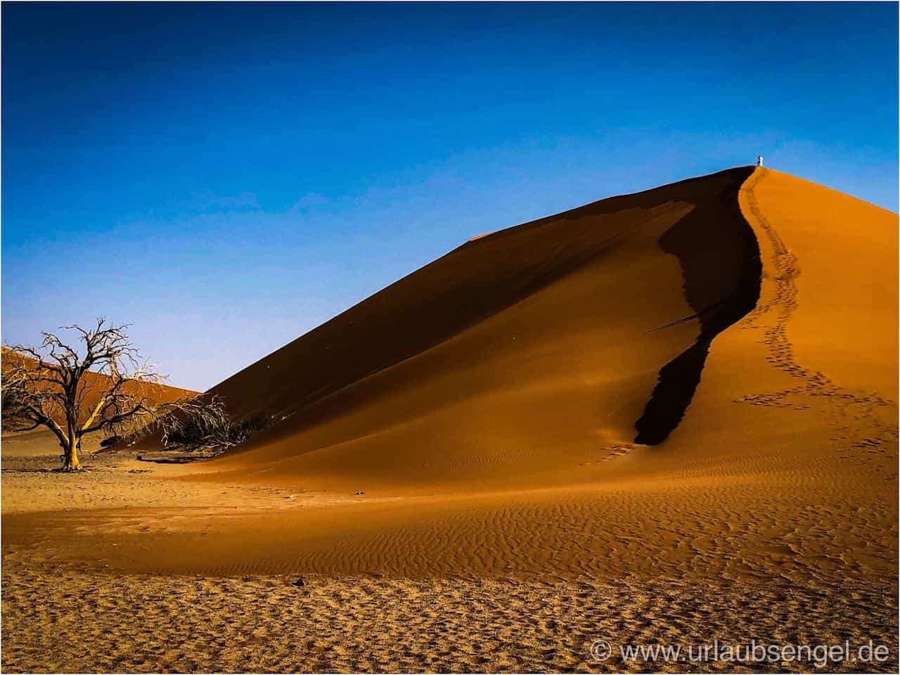 Dune 45 | Namib Sossusvlei