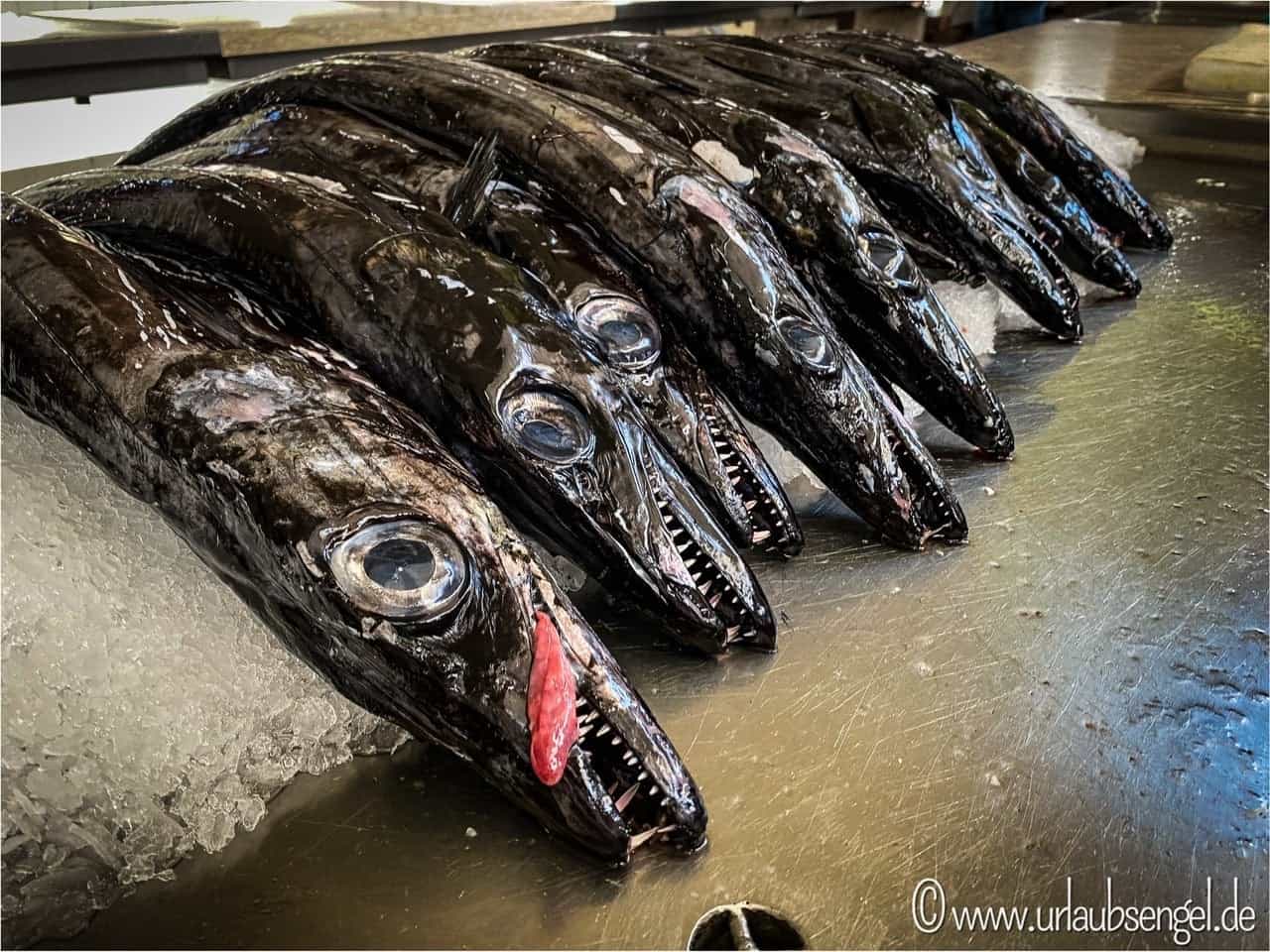 Funchal - Mercado dos Lavradores | Schwarzer Degenfisch