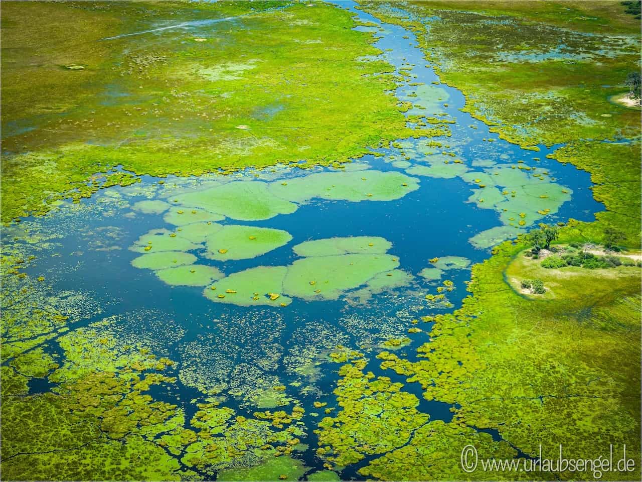 Okavango Delta Botswana Sumpfgebiet