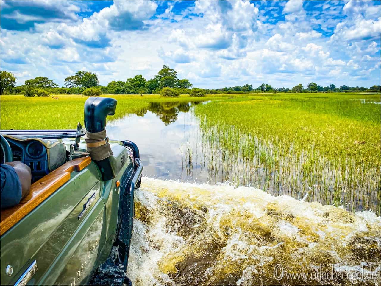 Safari im Okavango Delta in Botswana