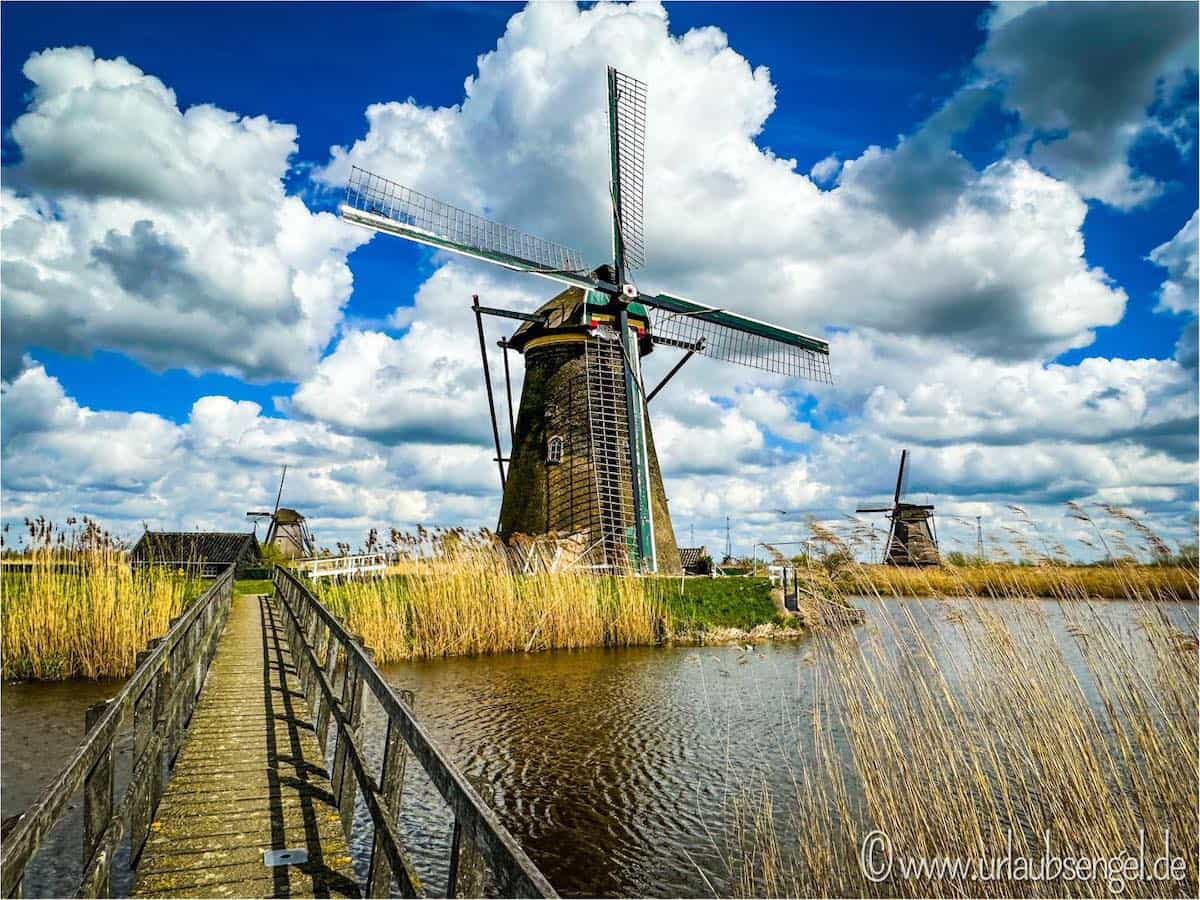 Windmühle in Kinderdijk, Holland | Urlaub am Meer