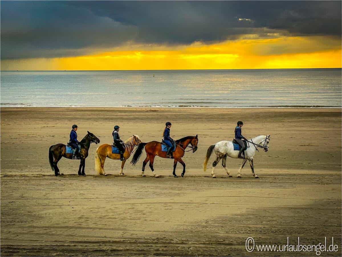Holland Urlaub am Meer | Reiten am Strand im Sonnenuntergang