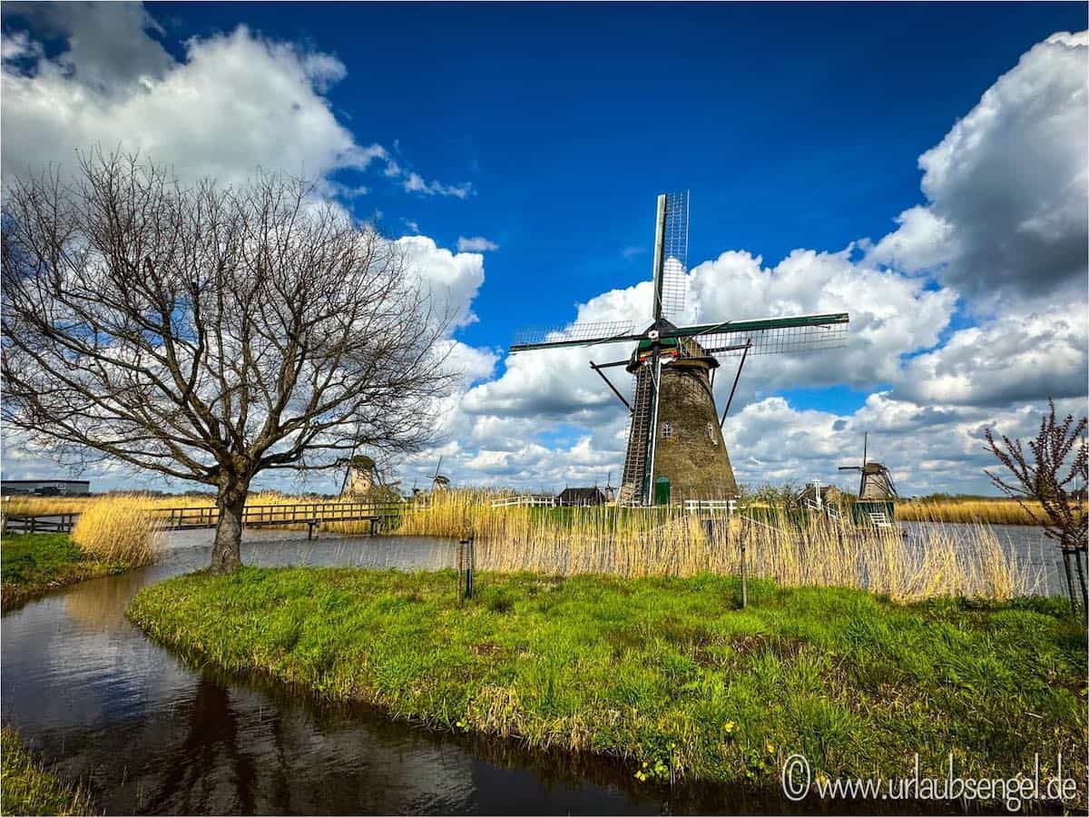 Windmühle in Kinderdijk, Holland | Urlaub am Meer