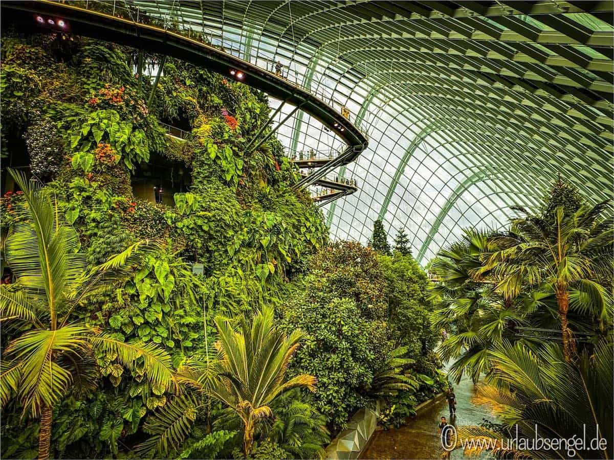 Gardens by the Bay | Cloud Forest