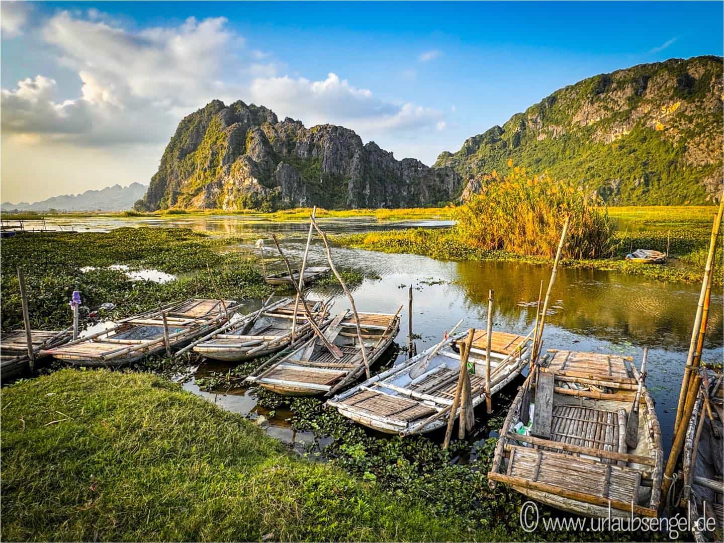Van Long Wetland Nature Reserve | Ninh Binh