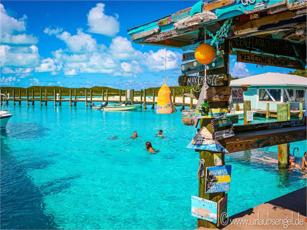Compass Cay | Haie streicheln