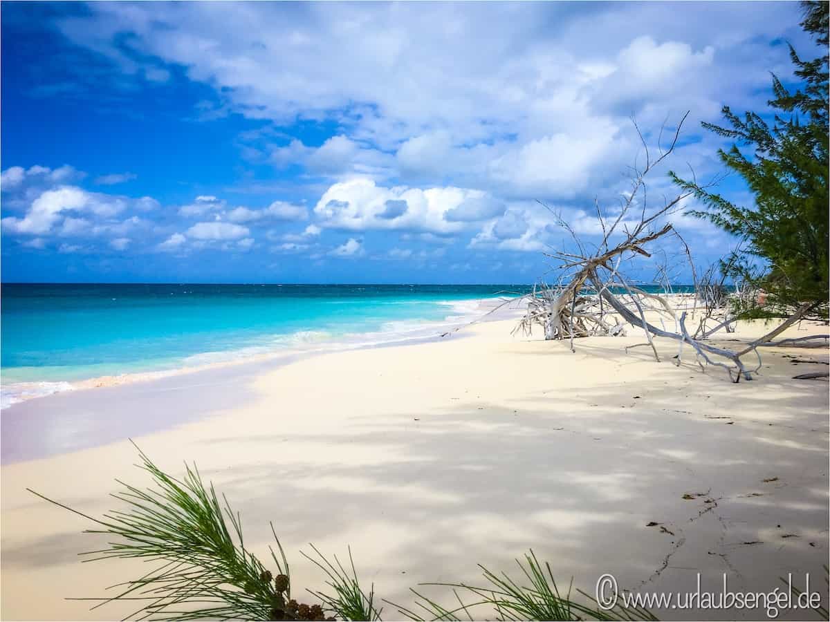 Strand auf Cat Island
