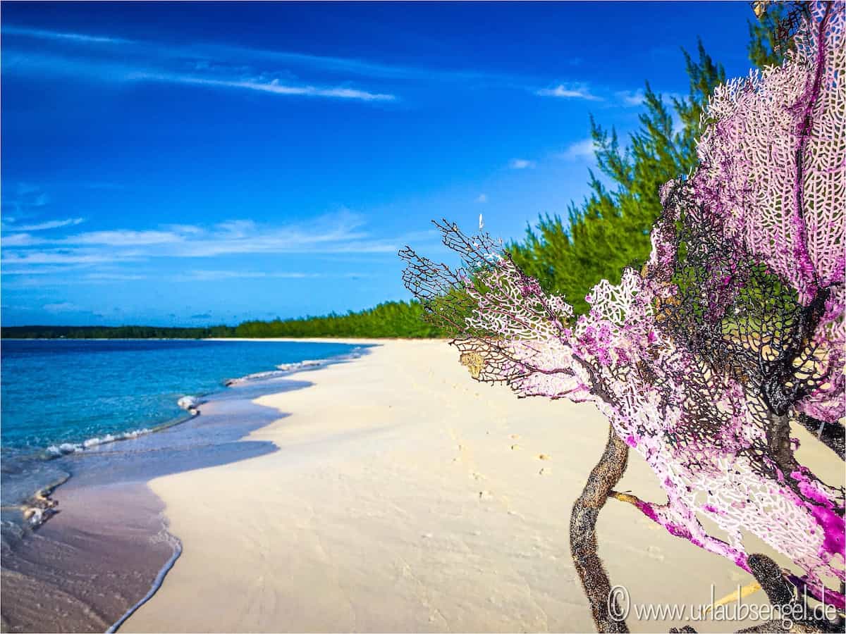 Einsamer Strand auf Cat Island, Bahamas