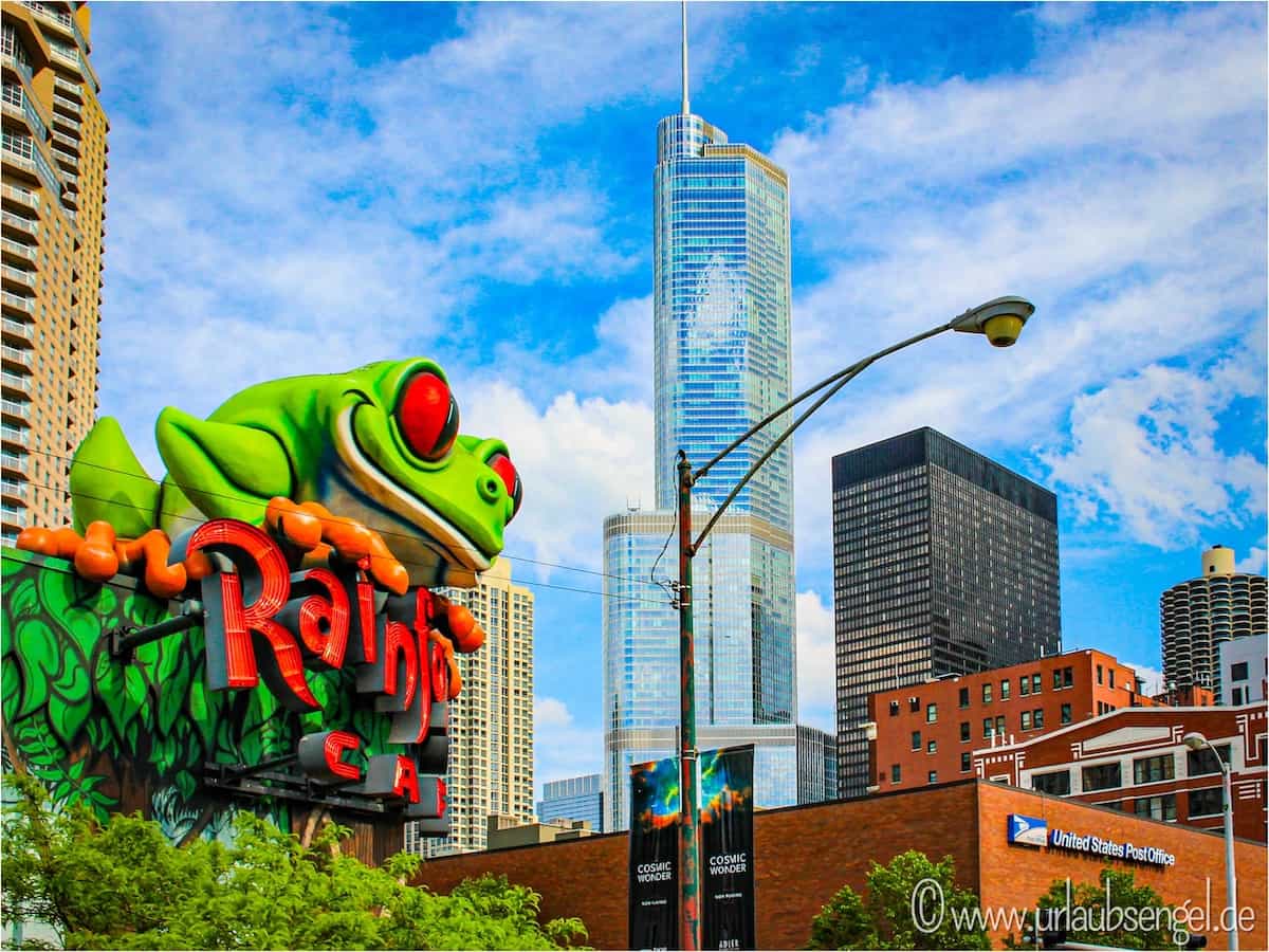 Rain Forest cafe, Chicago
