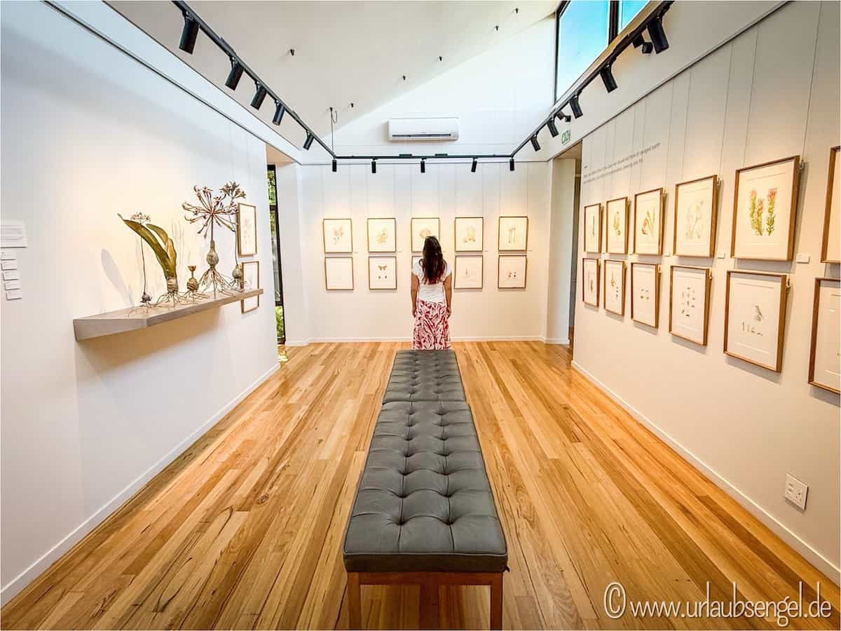 Grootbos | Hannarie Wenhold Botanical Art Gallery