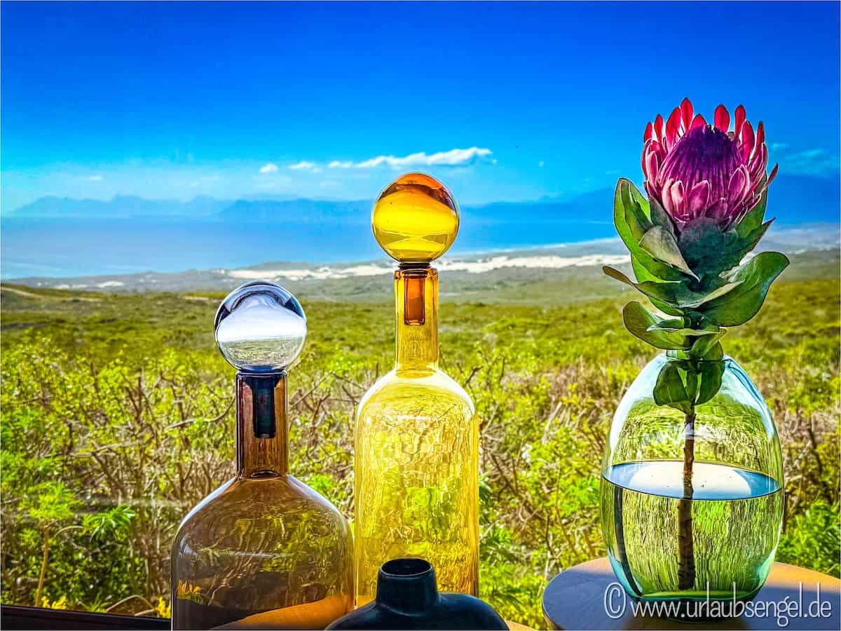 Grottos Private Nature Reserve | Protea