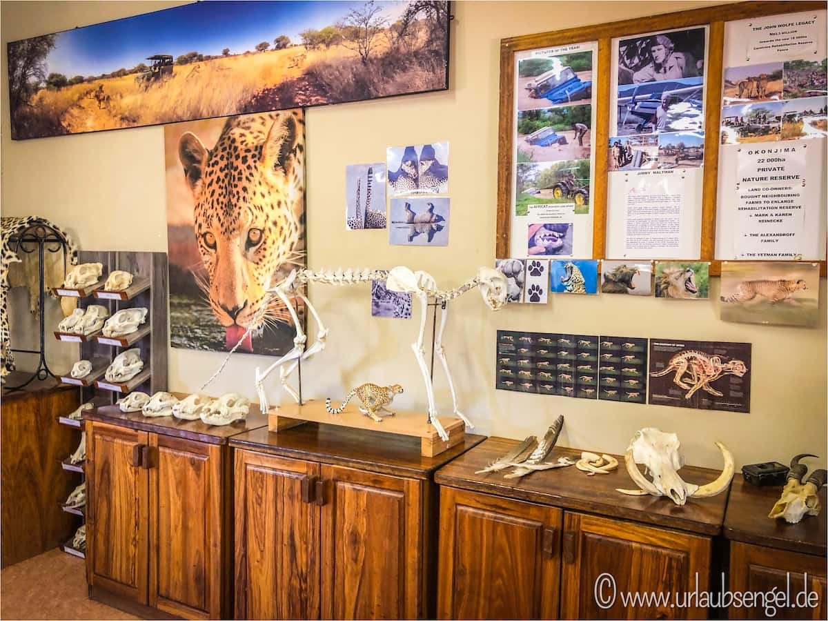 Bildungsprogramme der Africat Foundation