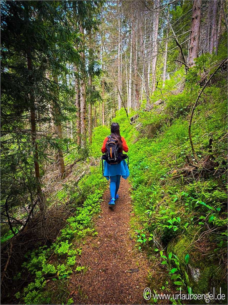 Wandern im Ahrntal