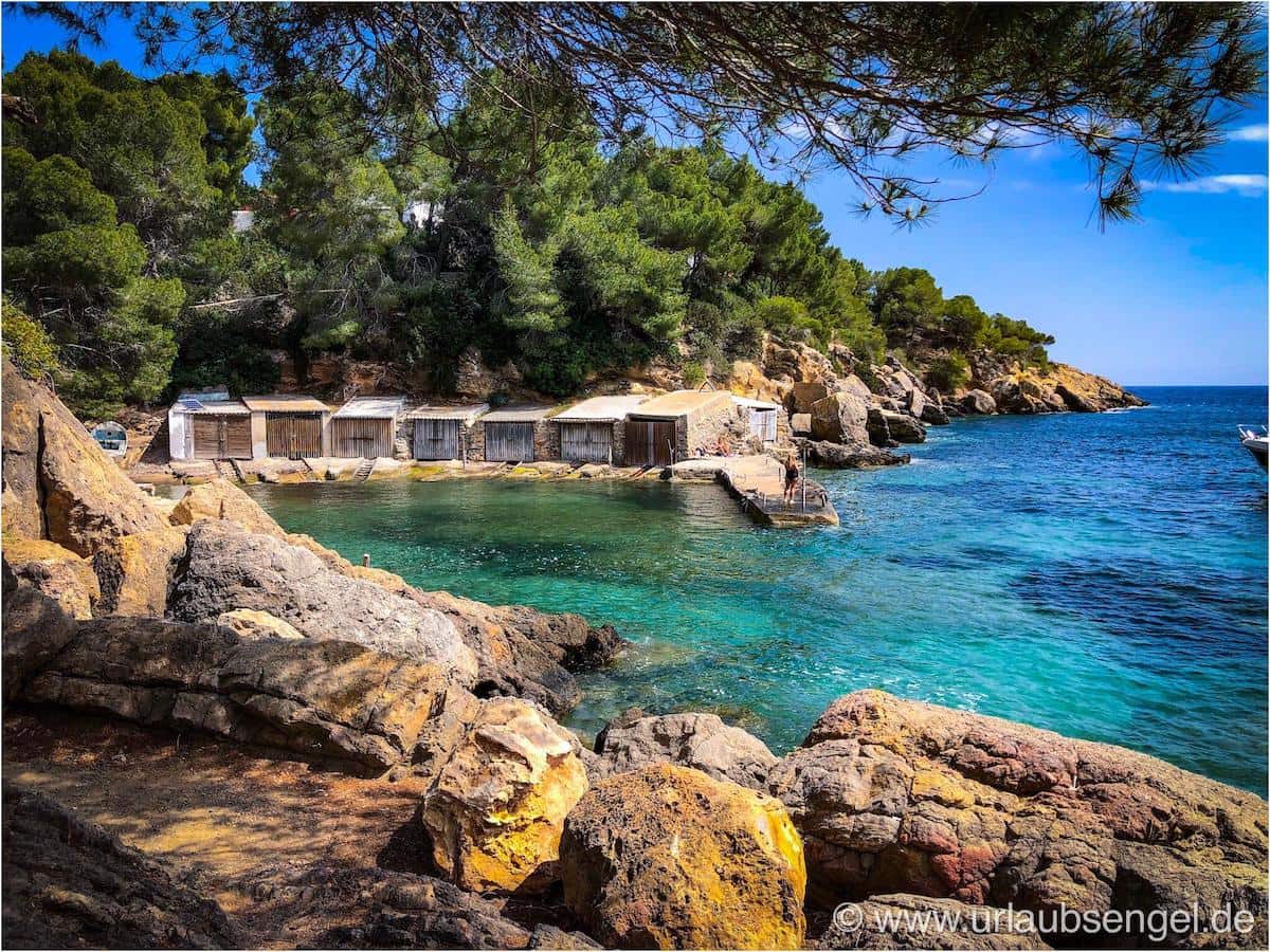 Ibiza, Elbigote