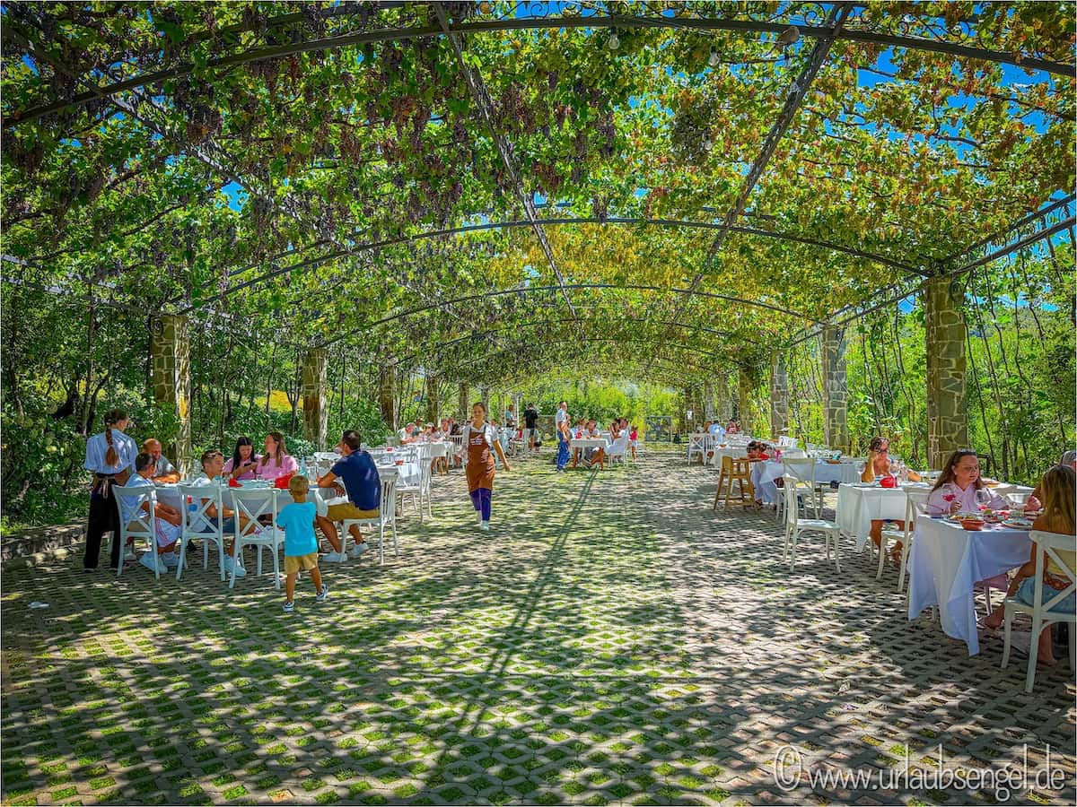 Mrizi i Zanave | Restaurant im Garten