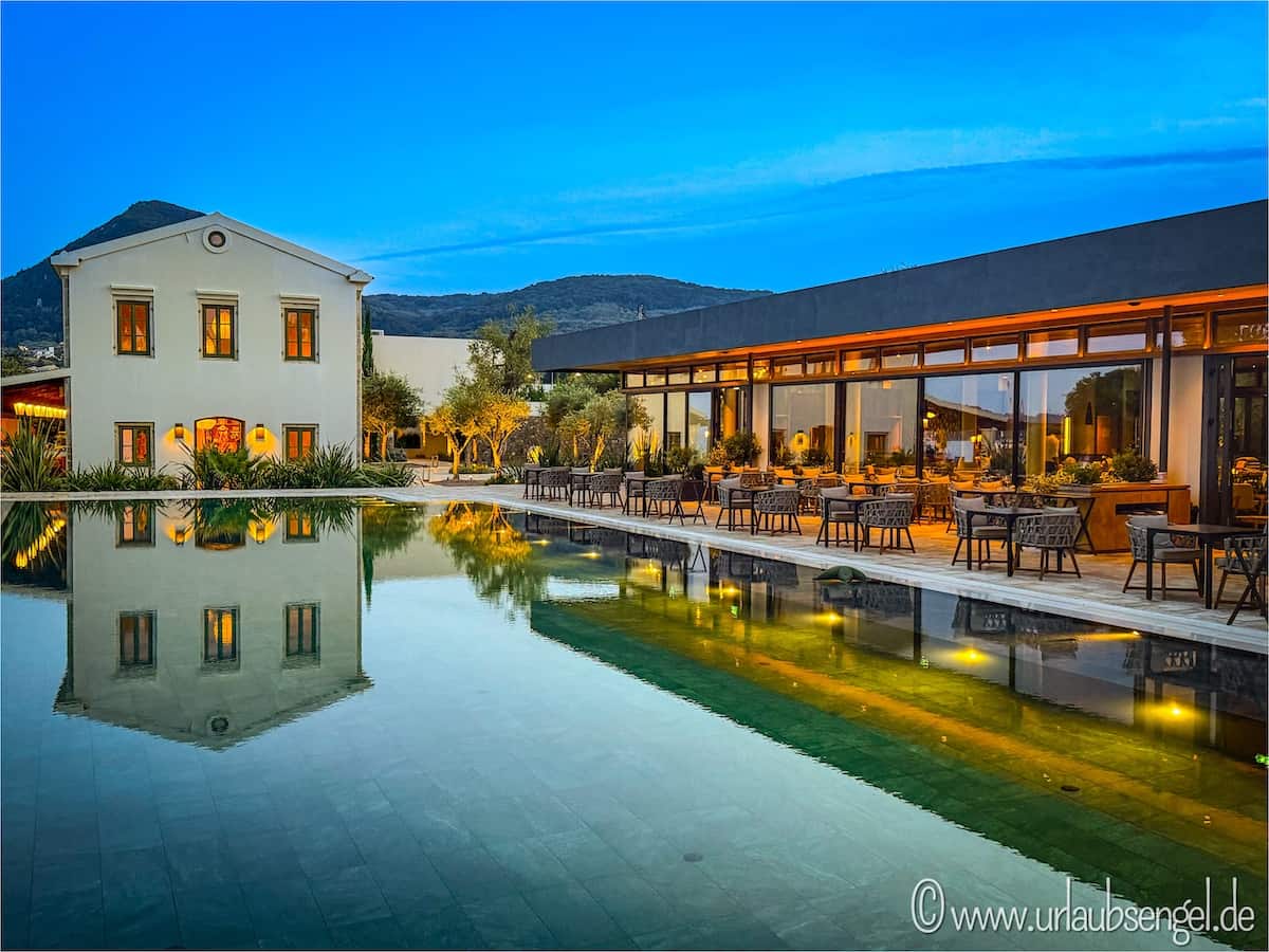 Pool im Oliver Suites