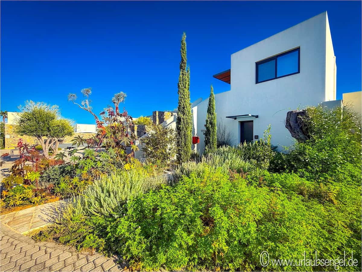 The Olivar Suites | Zimmer und Suiten