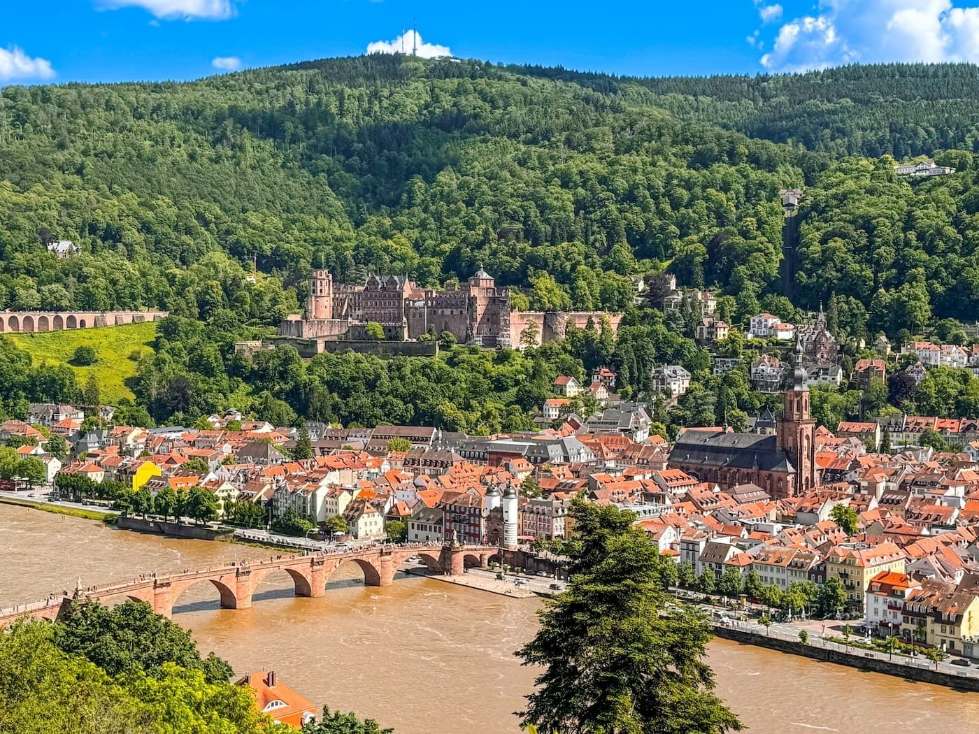 Roadsurfer Camper mieten in Heidelberg