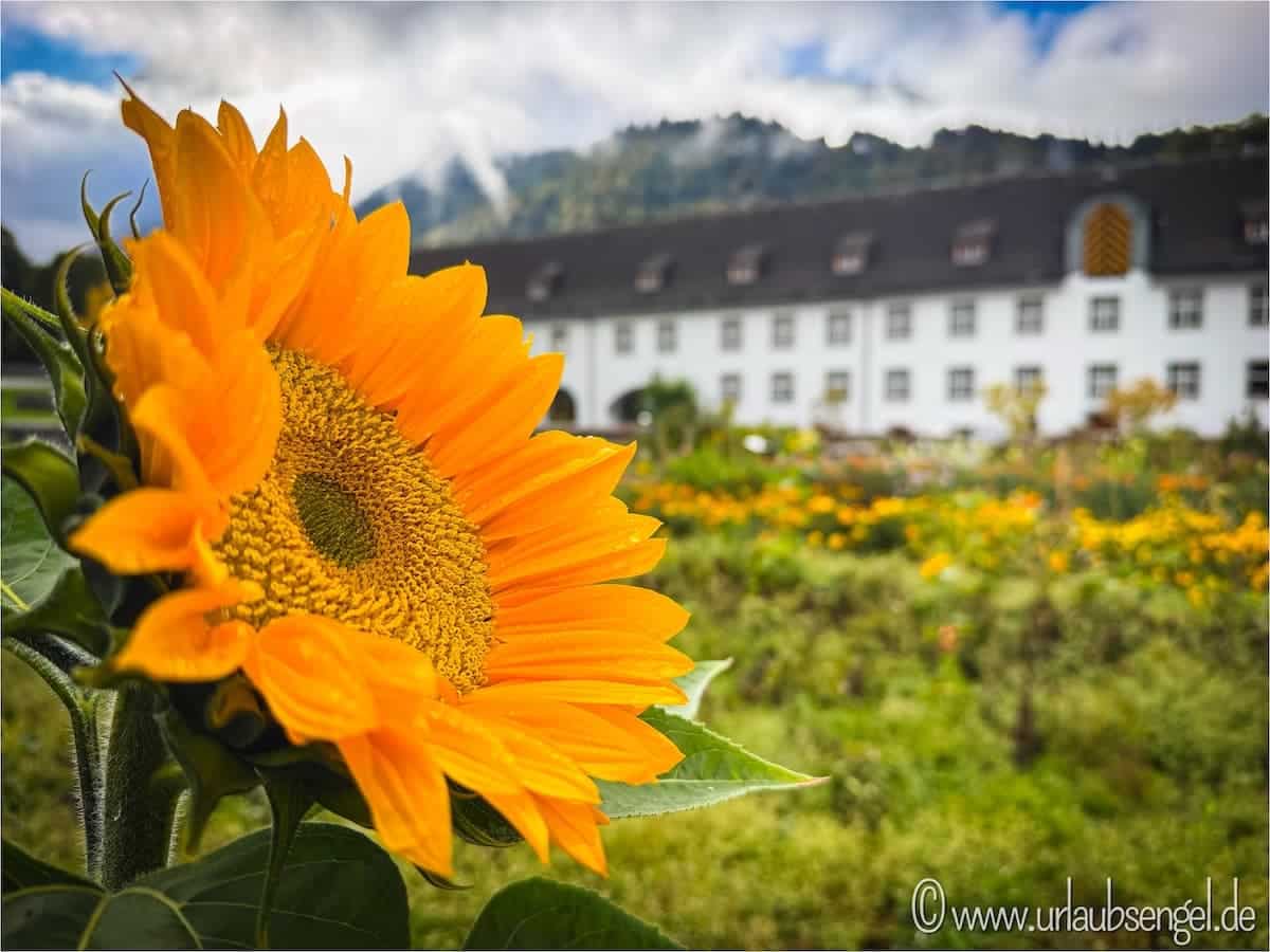 Kloster Engelberg, Klostergarten